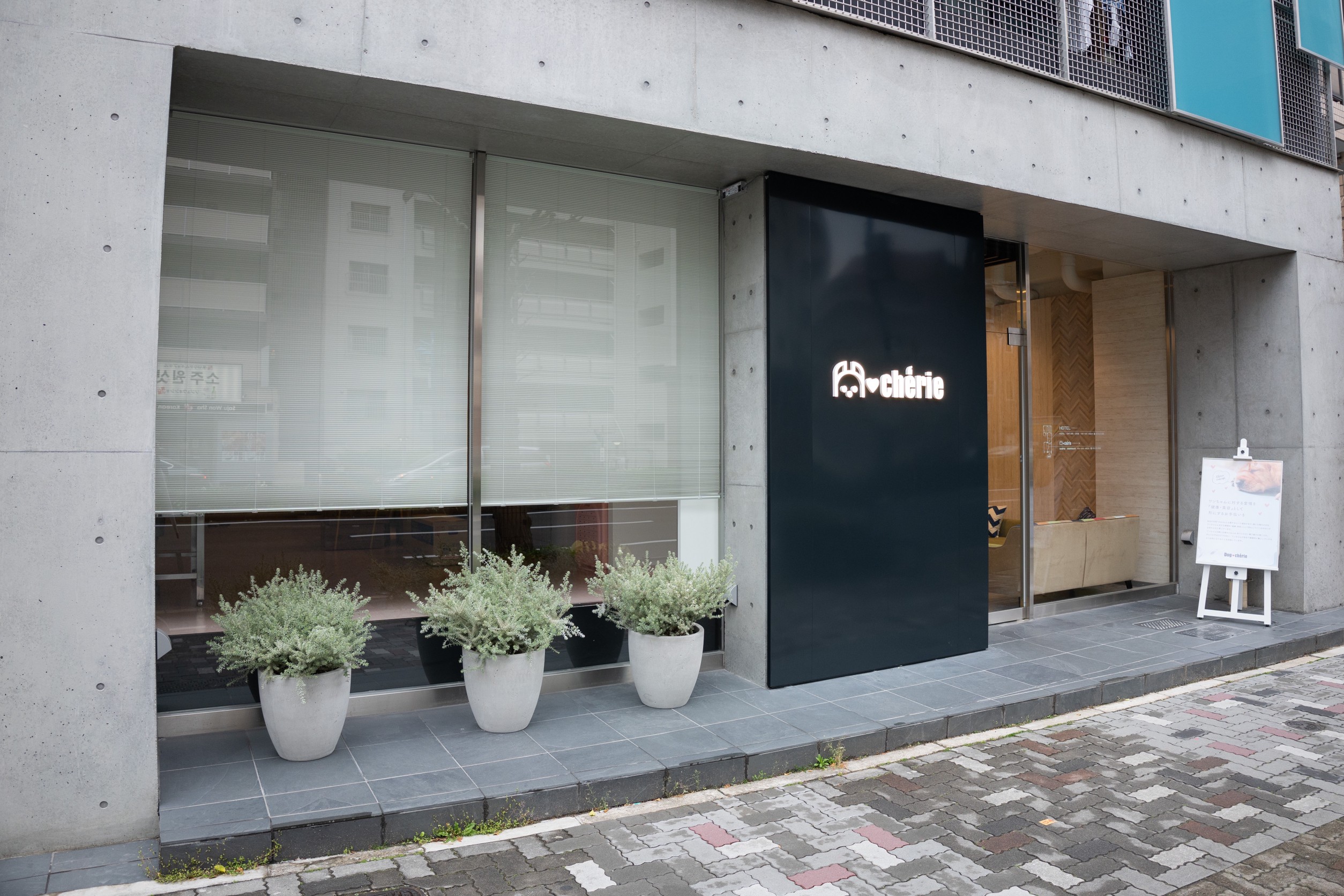 ドッグサロンシェリー 葵店